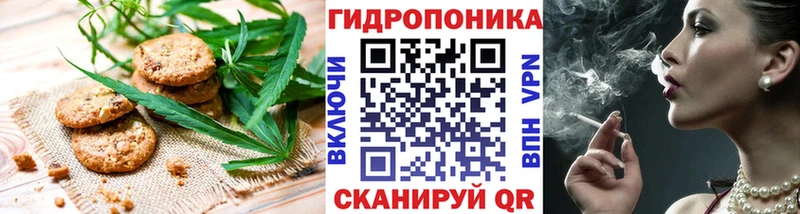 закладка  Кашин  Еда ТГК конопля 