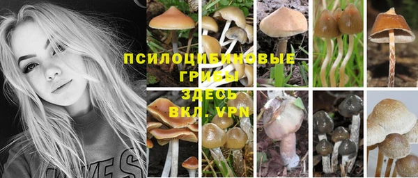 марки lsd Алзамай