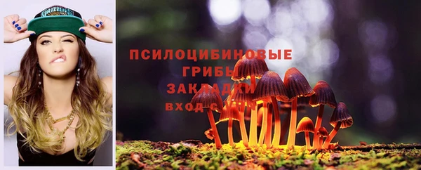 соль ск Алексин